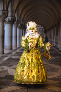 威尼斯嘉年华，假面舞会在世界中的一种之一