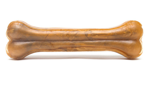 咀嚼的狗骨头摄影图