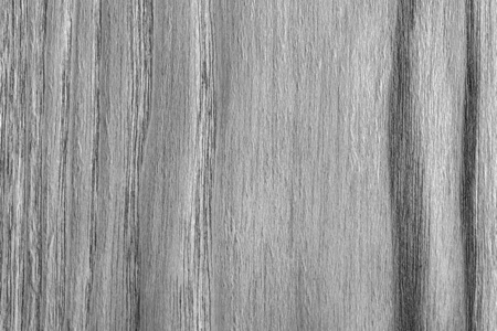 天然橡木木材漂白和染色灰色 Grunge 纹理样本