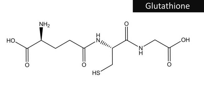 谷胱甘肽的分子结构