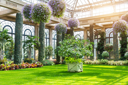 温室植物园图片 温室植物园素材 温室植物园插画 摄图新视界 温室植物园图片 温室植物园素材 温室植物园插画 摄图新视界