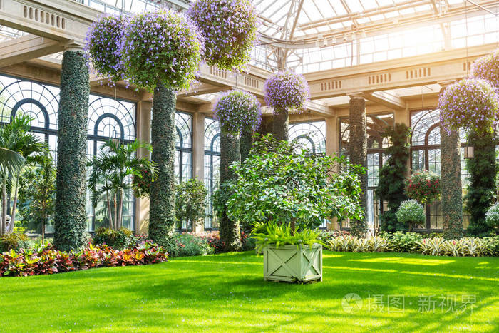 温室植物园照片 正版商用图片0bunll 摄图新视界 温室植物园照片 正版商用图片0bunll 摄图新视界