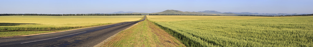 美丽的风景之间农田道路图片