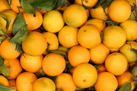 橘子没有绿色的叶子的化学处理
