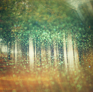 光突发树木和闪光散景灯之间的抽象照片。图像是模糊和过滤。二次曝光