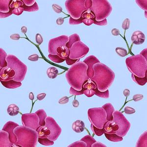 兰花水彩插图。无缝模式
