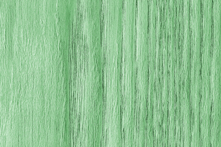 橡木木材漂白和染色淡绿色 Grunge 纹理样本