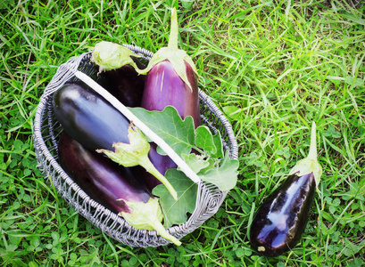 厨房里的茄子图片