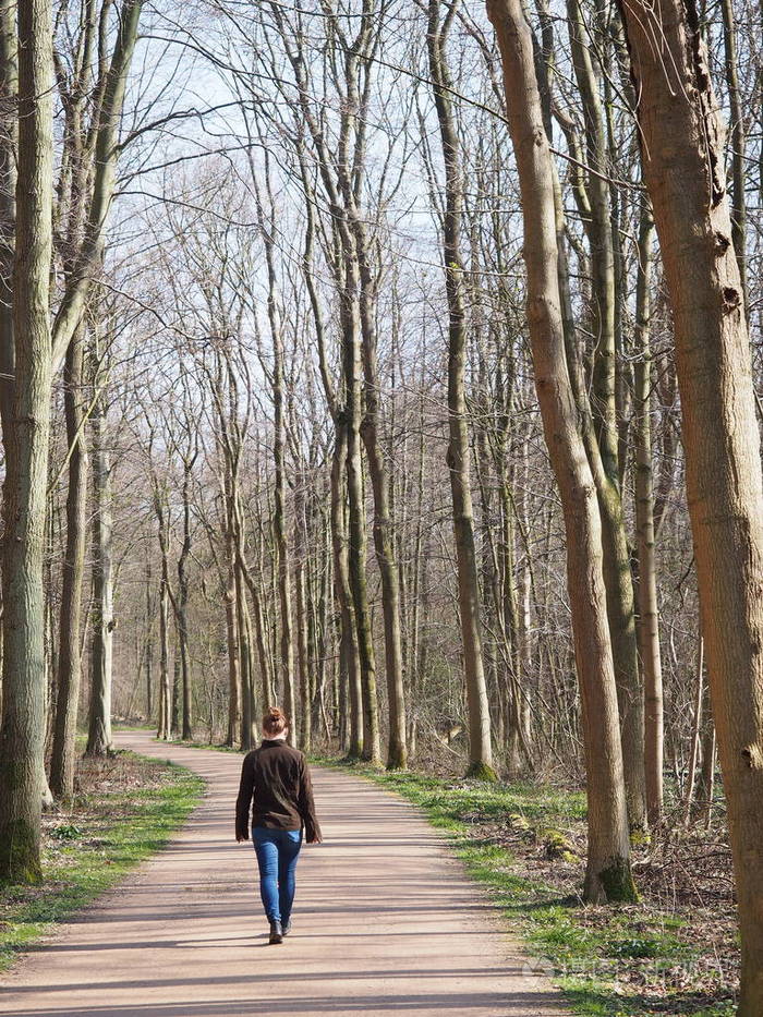 在蓝天下的森林里漫步的女性