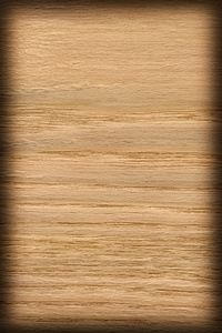 天然橡木木材赭石 Vignette Grunge 纹理样本