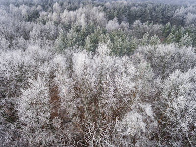 冬天背景与白雪覆盖的森林鸟瞰图