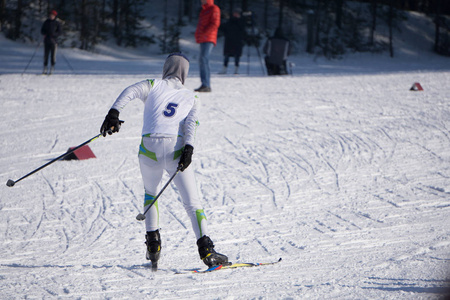 漂亮的年轻女滑雪者在白色的滑雪服 滑雪板 波兰人和头盔摆上新鲜的白色冬天雪的山滑雪场合奏