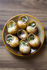 蜗牛吃桑叶在大蒜黄油吃油炸的蜗牛照片