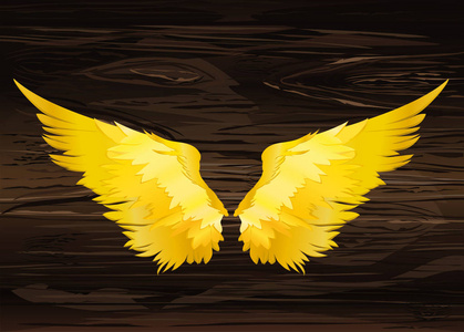 翅膀.在木质背景上的矢量插图.金黄颜色照片
