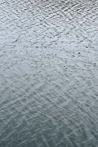 河水在风的影响下的质地。水面上的许多浅浪