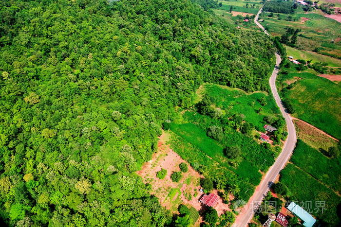 在山路经历森林景观鸟瞰图