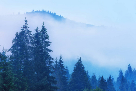 云雾山风景