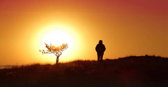 黎明时分, 一棵树上的女孩在太阳升起的背景下照片