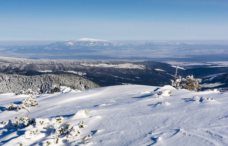 Zywiec BeskidsBabia 的最高高峰的看法在早晨与 Tatra 山
