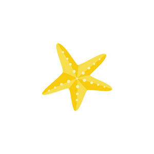 黄色海星图片-黄色海星素材-黄色海星插画-摄图新视界