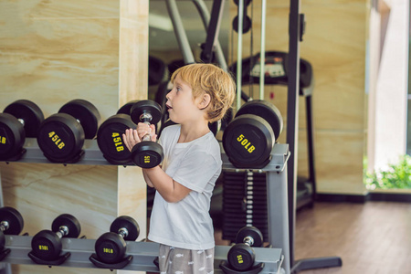 肌肉男子哑铃在健身房训练与哑铃运动员肌肉健美用哑铃锻炼肌肉发达的