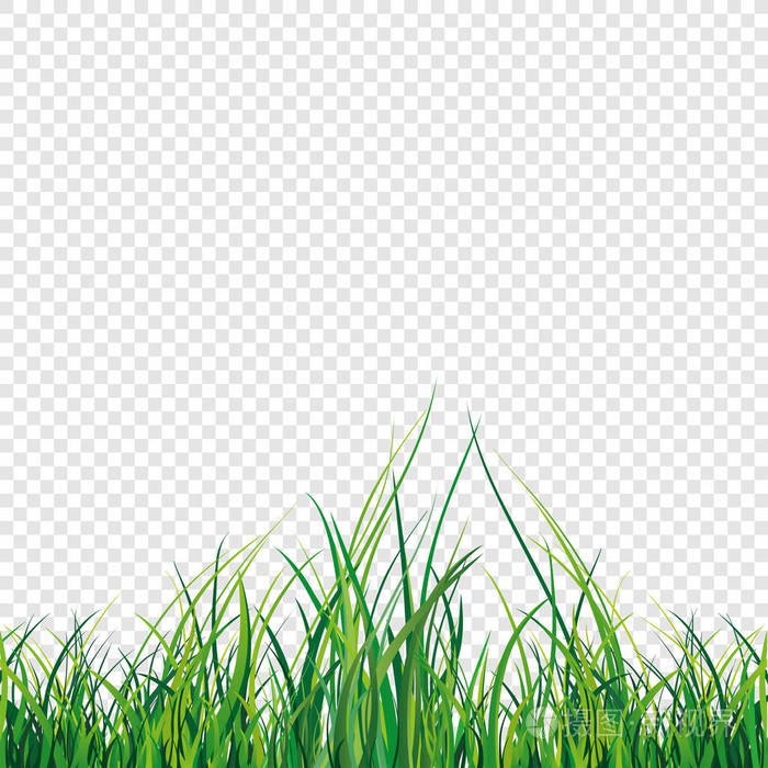 绿草场的矢量图解插画-正版商用图片0bw05a-摄图新视界