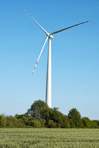 麦田风力涡轮机。波兰