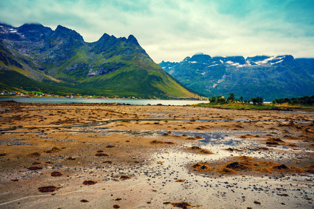 海湾的看法。有蓝色多云天空的岩石海岸。美丽的自然挪威。海低潮