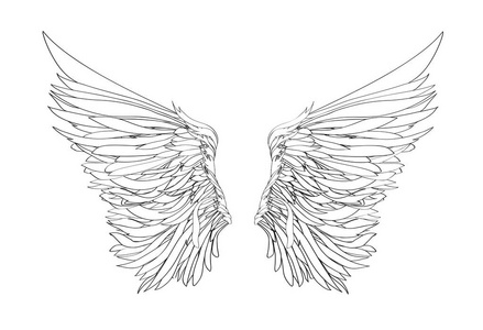 翅膀。白色背景上的矢量图。黑色和白色