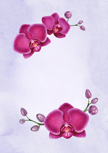 紫水彩兰花