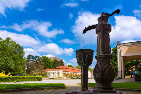 皮埃斯坦尼温泉岛的喷泉和历史建筑