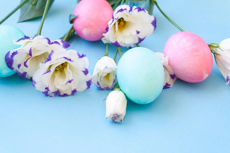 复活节彩蛋和春天的花朵水仙在蓝色背景上