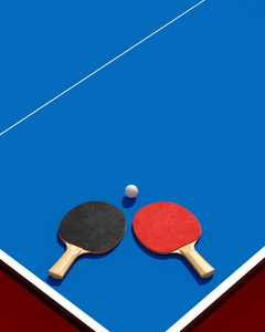两个乒乓球或乒乓球球拍和球在桌上与净3d 例证