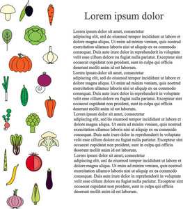 多彩的纵向蔬菜背景，黑色 Lorem ipsum，股票矢量图