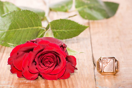 订婚戒指和红玫瑰木背景，情人节贺卡