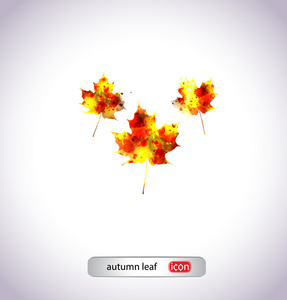 秋天的叶子图标