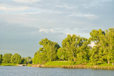 夏天在公园的湖的看法