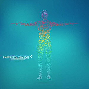 结构分子的人。抽象模型人体 Dna。医学 科学和技术。您设计的的科学矢量