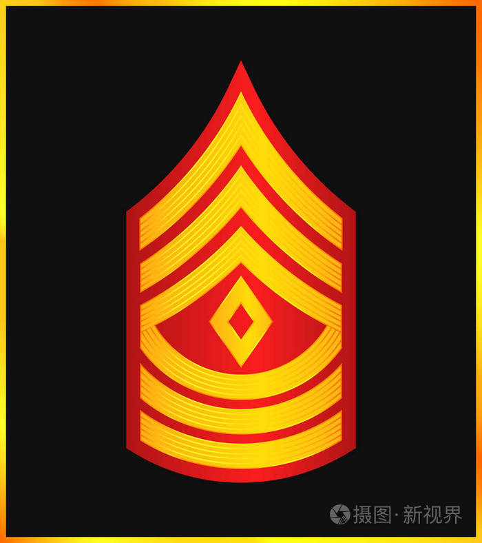 军衔和徽章。条纹和燕尾形的军队