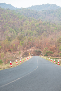 在郊区的路