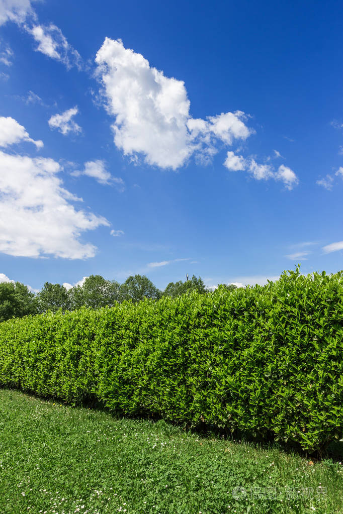 对冲基金和蓝色的天空