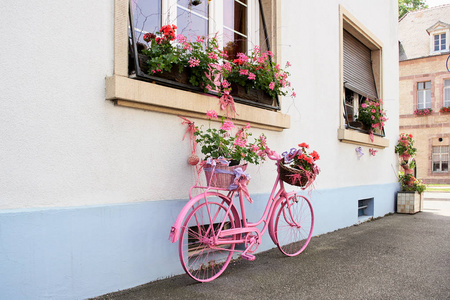 作为花站在房子的墙上有一辆旧的粉红色自行车