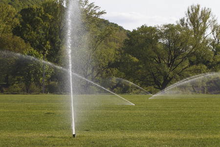 草坪浇水照片