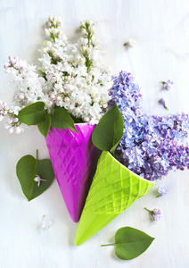 美丽的紫色和白色的淡紫色花