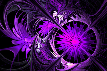 紫色和黑色的调色板.分形设计.com照片