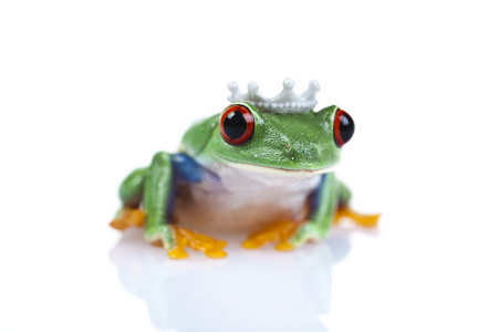 公主青蛙图片