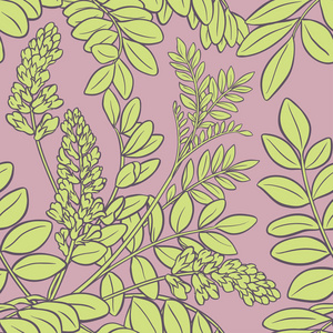 炙甘草插画-炙甘草手绘-炙甘草卡通图-摄图新视界