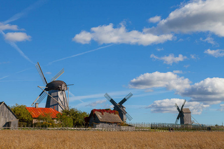 传统的 Saaremaa 岛，爱沙尼亚的木制风车。秋日阳光