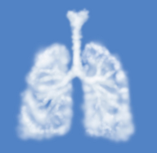 人肺塑造作为云上蓝色孤立