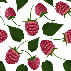 新鲜的树莓无缝模式